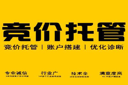 某知名品牌SEM广告投放的创意与执行